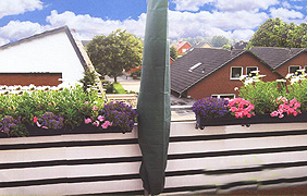Picture of Product